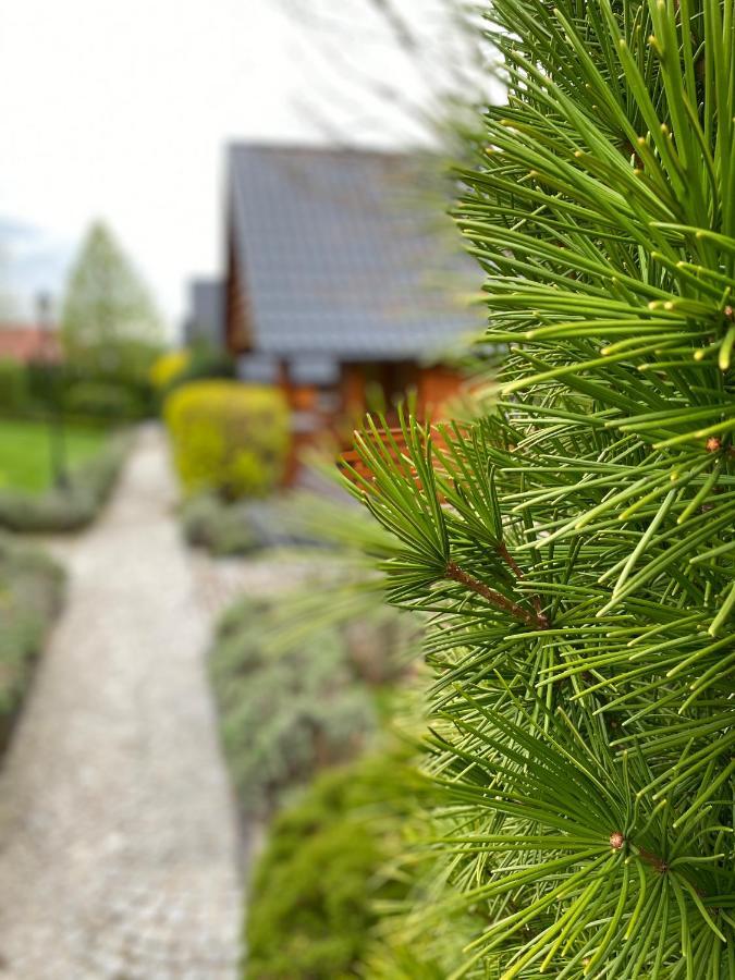 Domki U Basi Bad Kudowa Exterior foto