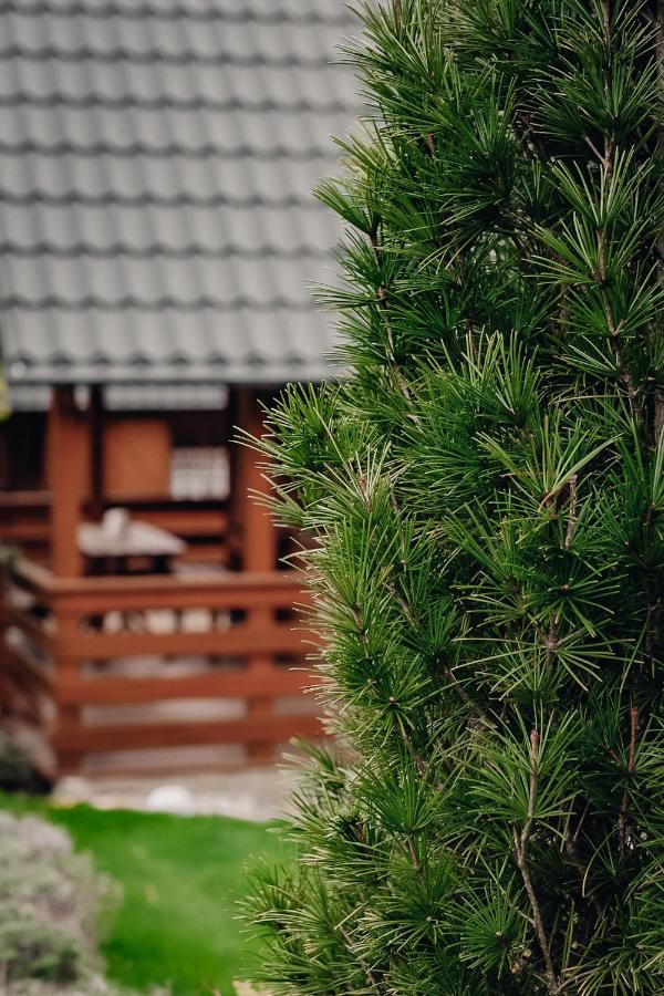 Domki U Basi Bad Kudowa Exterior foto