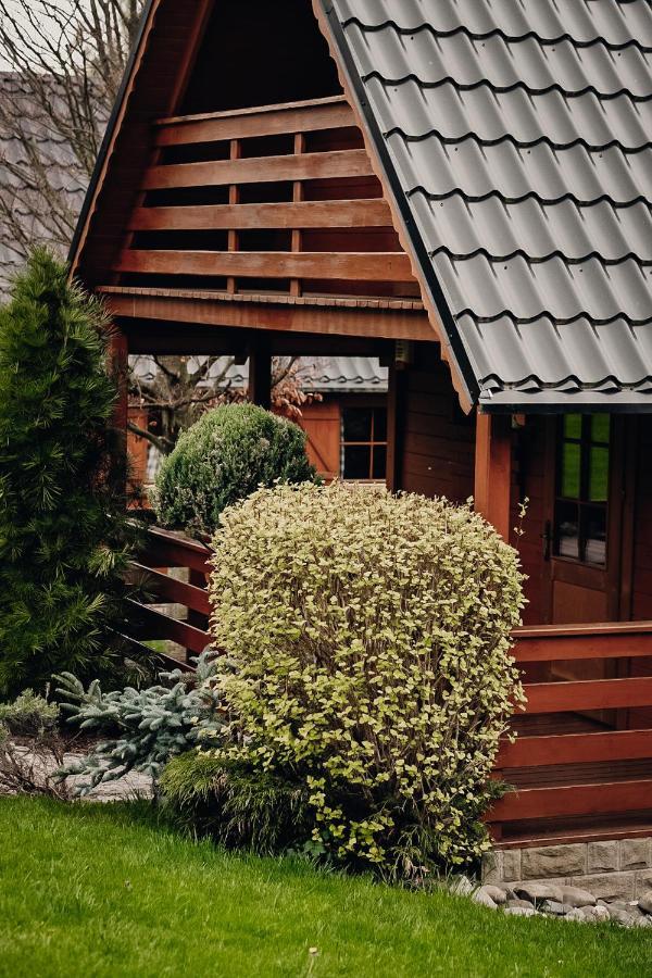 Domki U Basi Bad Kudowa Exterior foto